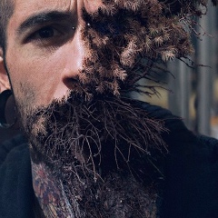 Try Again, 29.01.1996, Pointe-à-Pitre