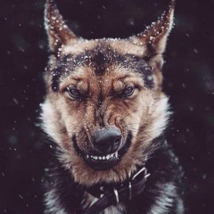 Андре Селиванов, 28.10, Сургут