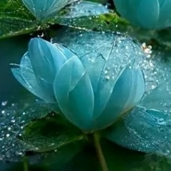 Ирина Дюбанова, 16.02, Дудинка