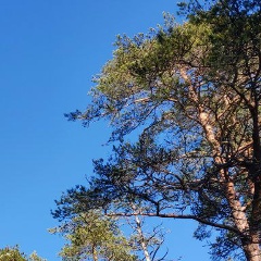 Вера Лифшиц, 26.09, Санкт-Петербург