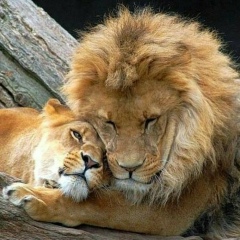 Zhanna Zhanna, 05.03, Алматы