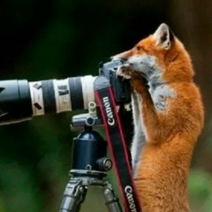 Ольга Гуляева, 16.08, Тихвин