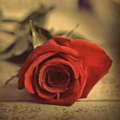 Макпал Калилаева, 24.02.1997, Актау