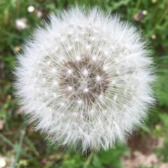 Альбина Хабирова, 27.01.1985, Москва