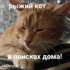 Надин Усольцева, 05.06.1986, Санкт-Петербург