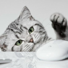 Толеген Халилаев, Актау