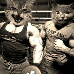 Андрей Дерегриб, 26.09, Berlin