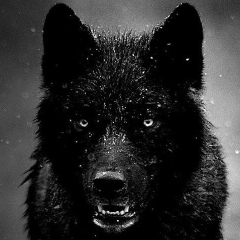 Aidyn Erkimbayev, 04.08, Roseau