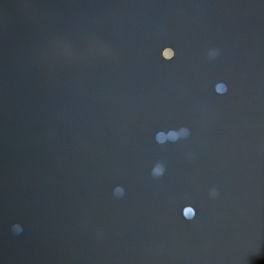 Агнесса Лурье, 28.06