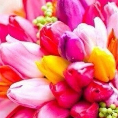 Макпал Конирбасова, 26.12, Астана