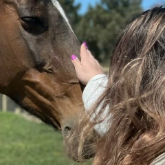 Алия Газыева, 14.01, Баку