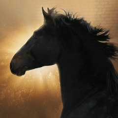 Вадим Чернышевский, 03.07.1985, Киев