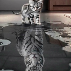 Алена Зуйко, 06.02, Кривой Рог