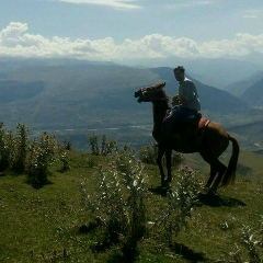 Магомедрасул Гитинов, 11.09, Санкт-Петербург