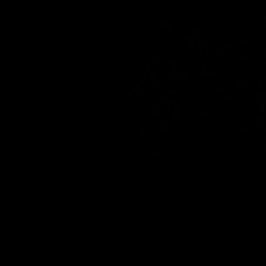 Максим Дворников, Санкт-Петербург