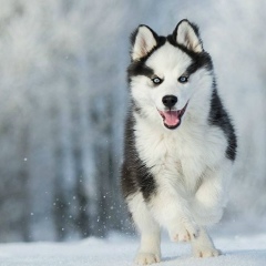 Сашка Русланов, 23.08, Челябинск