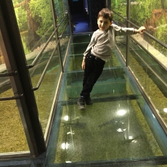 Рукият Чартаева