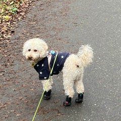 Даша Хань, 16.12.1986, Москва