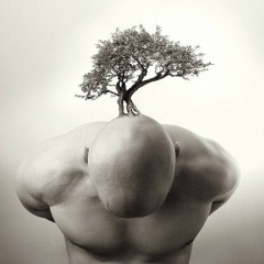 Сергей Смирнов, 07.09.1979, Санкт-Петербург