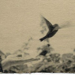 Самира Каимова, Москва