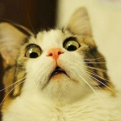 Максим Makaroff, 01.09.1984, Москва