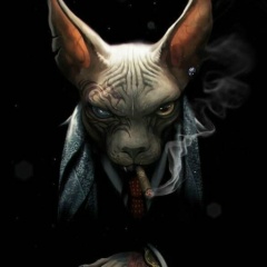 Tema Ivanov, 26.05, Санкт-Петербург