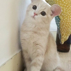 Карина Ан, 02.06.1994