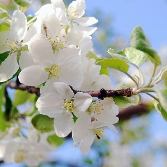 Татьяна Стешко, 19.07.1987, Гродно