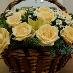 Алена Ситникова, Санкт-Петербург