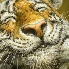 Дарья Костыгова, 04.10, Череповец