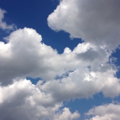 Милена Бабаян, 28.12