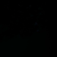 Оля Москаленко