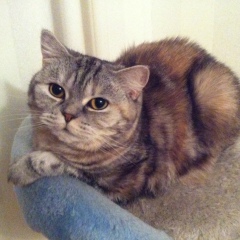 Дмитрий Старожицкий, 04.10, Москва