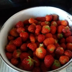 Умму Абдилла, 09.05.1986, Семей