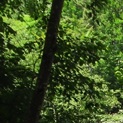 Дима Нестерчук, 25.09.1990, Хмельницкий