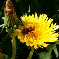 Максим Смоткин, 27.10.1983, Санкт-Петербург