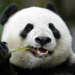 Вячеслав Сёмин, 08.02.1987, Москва