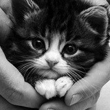 Эльвира Кальченко, 18.08.1989, Волгоград