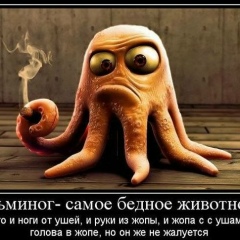 Давыд Лукин, 08.07.1981, Санкт-Петербург