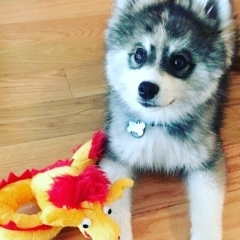 Камиль Гаджиев, 30.03.1989