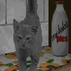 Кутерьма Котлов, Самара