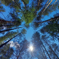 Алексей Копейкин, 04.08, Санкт-Петербург