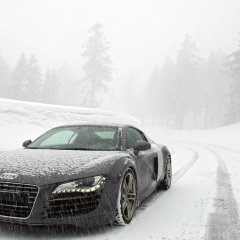 Чингиз Шагирбаев, 11.07, Шымкент