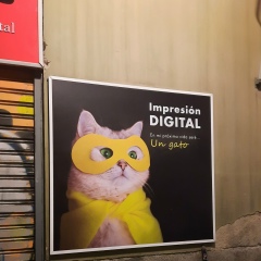 Анна Беленькая