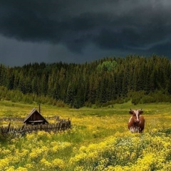 Елена Юрьева, 13.08