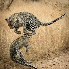 Сергей Ким, 20.02.1969, Темиртау