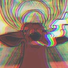 Ксения Рудакова, 14.08, Липецк