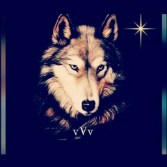 Руслан Чумаков, 17.07.1991, Санкт-Петербург