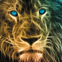 Илья Герасимов