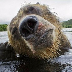 Андрей Васин, 15.02.1972, Одесса